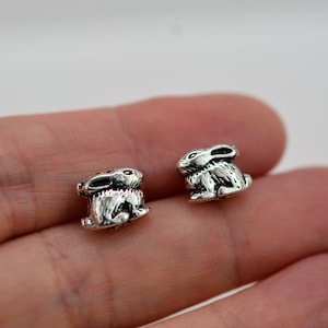 May include: A pair of silver rabbit charm earrings. The charms are detailed and have a realistic look.