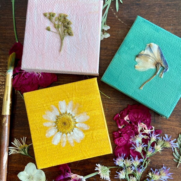 Pressed Flower Kit Etsy