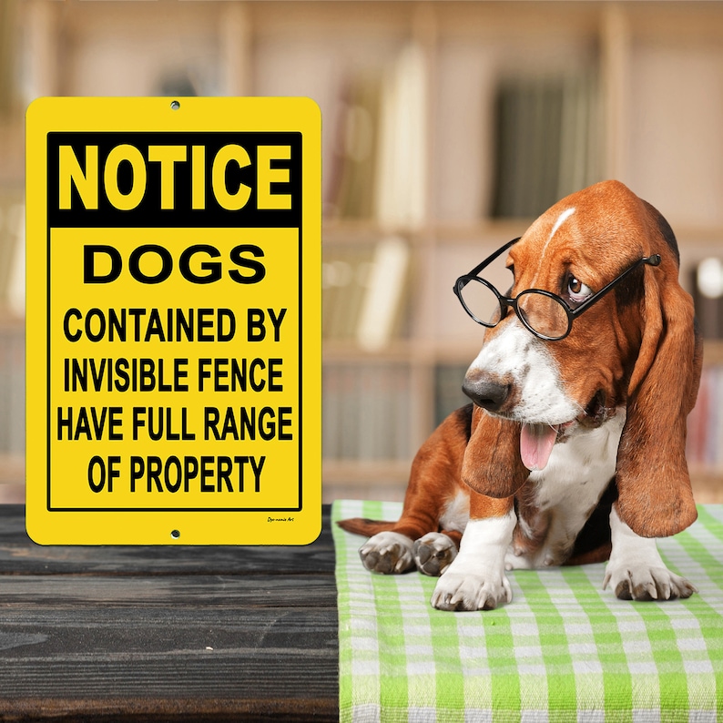 K&ouml;nnte beinhalten: Ein gelbes rechteckiges Schild mit schwarzem Text, der lautet: &bdquo;HINWEIS HUNDE ENTHALTEN DURCH UNSICHTBAREN ZAUN HABEN VOLLE REICHWEITE DES EIGENTUMS&ldquo;. Ein Basset Hound mit Brille sitzt auf einem gr&uuml;n-wei&szlig; karierten Tuch.