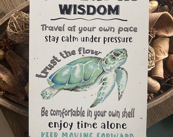 SUMMER RULES SEA TURTLE METAL NOVELTY SURFBOARD SIGN SUMMER RULES SEA TURTLE METAL NOVELTY SURFBOARD SIGN