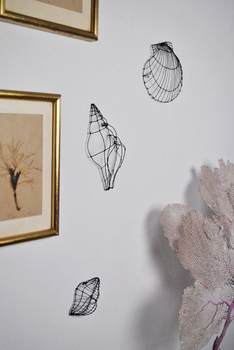 Scallop Shell in Black Wire, Wall or Table Decoration, Handmade in ...