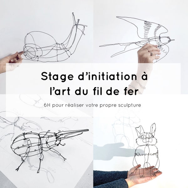 Stage d’initiation à l'art du fil de fer , atelier de 6H pour adulte, Rouen, région Haute-Normandie