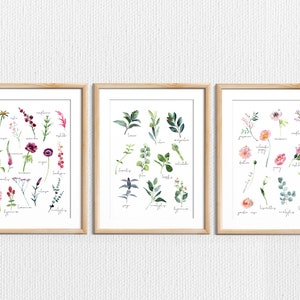 Druckbares Botanisches Poster Set - 3 Stück Wandkunst druckbar