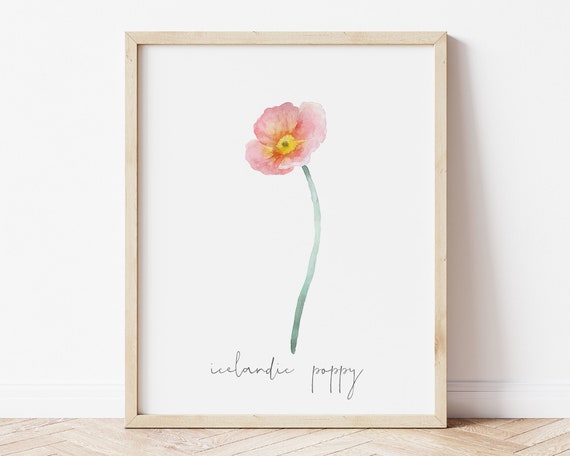 Printable Poppy Art Print Floral Botanical Wall Art Single | Etsy