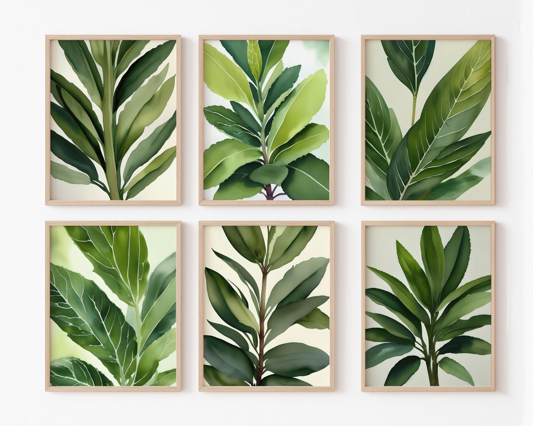 6 Piece Wall Art Set Printable Art Bundle Sage Green Gallery Etsy