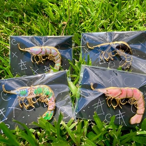 Op de afbeelding: Vier garnaalvormige emaille pins met goudkleurige metalen randen, elk individueel verpakt in doorzichtig plastic op zwarte achtergrondkaarten. De pins hebben verschillende kleurpatronen, waaronder iriserende, zwarte, groene en roze emaille ontwerpen.