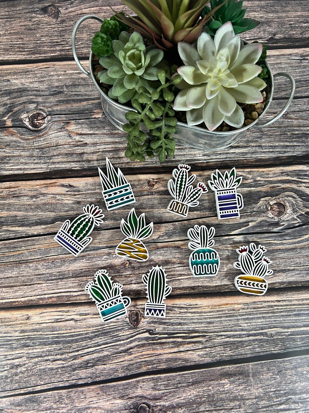 9 Succulent Refrigerator Succulent Set Hand Painted