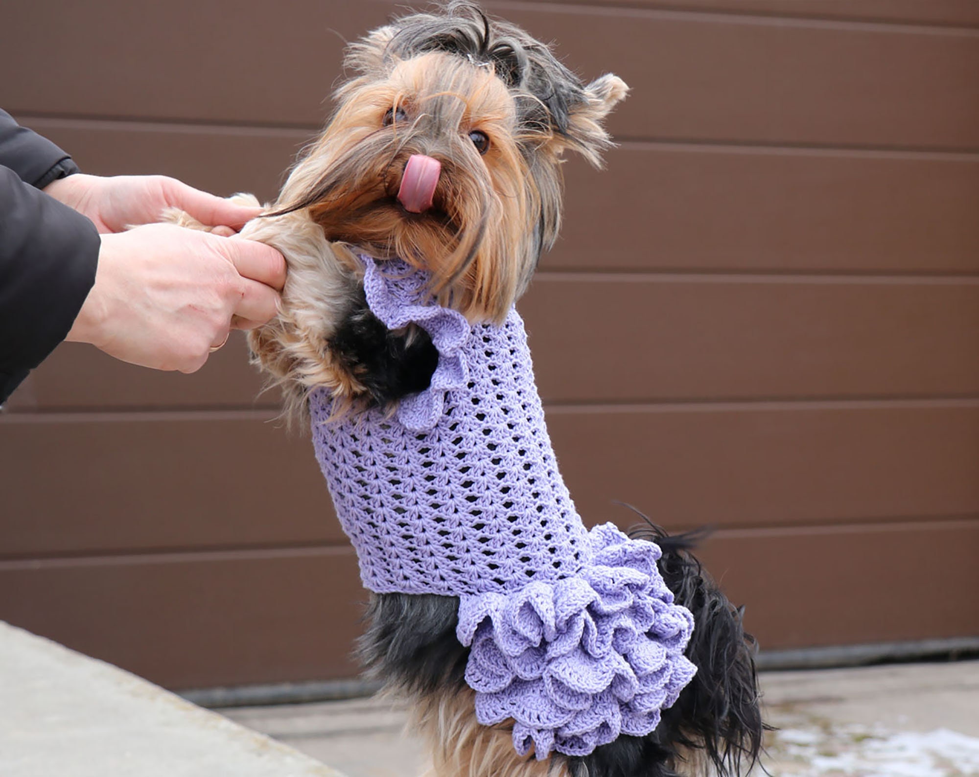 crochet dog dress free pattern Easy Red Heart Great Granny Sweater Crochet Dog Coat Pattern PDF