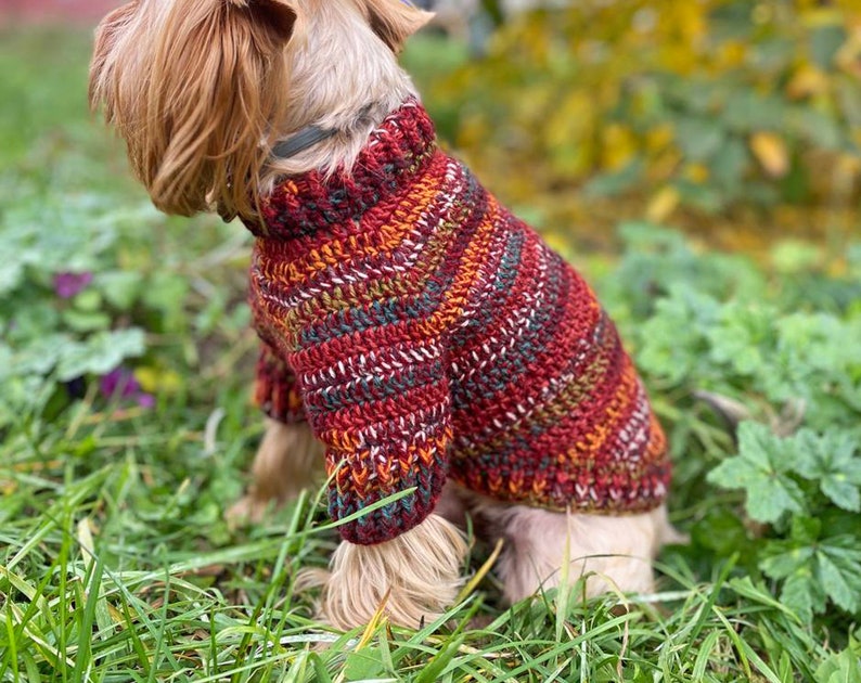 DOG SWEATER pattern, Crochet Sweater for Small Dogs, PDF Dog Sweater Crochet Pattern, Holiday crochet pattern, Beginner Dog Sweater Pattern image 2