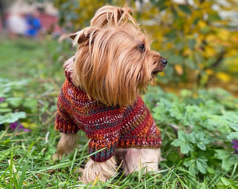 DOG SWEATER pattern, Crochet Sweater for Small Dogs, PDF Dog Sweater Crochet Pattern, Holiday crochet pattern, Beginner Dog Sweater Pattern image 5