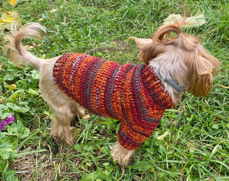 DOG SWEATER pattern, Crochet Sweater for Small Dogs, PDF Dog Sweater Crochet Pattern, Holiday crochet pattern, Beginner Dog Sweater Pattern image 1