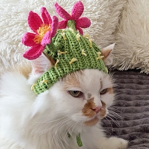 Crochet Cactus Cat Hat Pattern, Pet Costume Digital PDF
