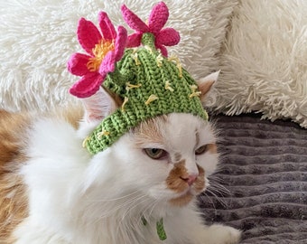 Crochet Pattern Cat Hat, Cactus Cat Hat Pattern, Pet Costume Digital PDF