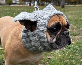 May include: A brown and white French Bulldog wearing a gray knitted hat with ear flaps.