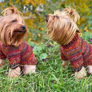 Hunde Häkelpullover Muster PDF, Easy Yorkie Pullover, kleine Hunde-Haustier-Kleidung Häkelanleitung-Sofort-Download