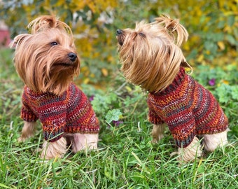 Crochet Dog Sweater Pattern PDF, Easy Yorkie Sweater, Small Dog Pet Clothes Crochet Tutorial Instant Download