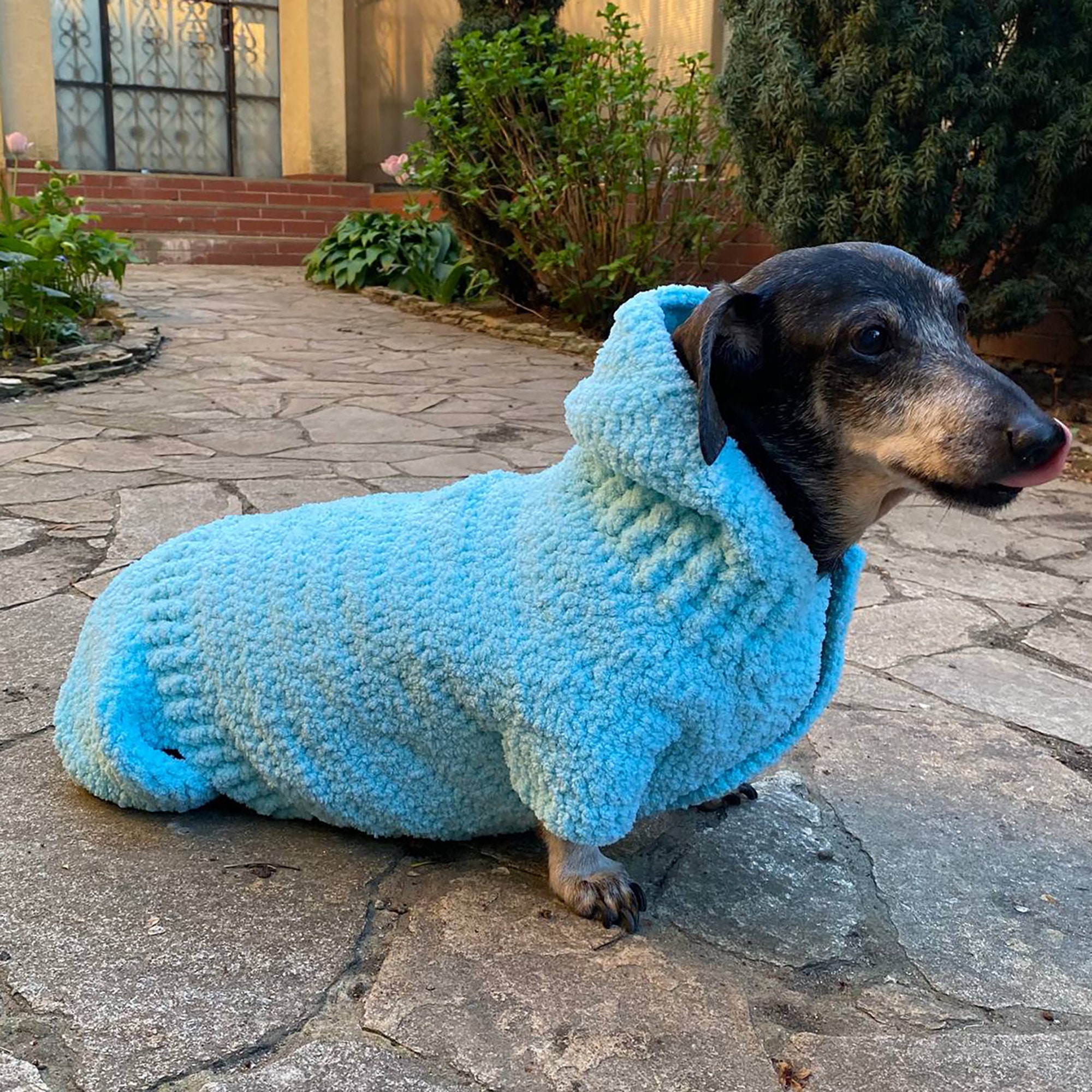 Hooded dog sweater online