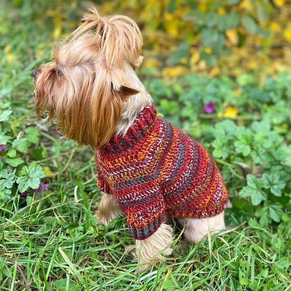 犬用セーターかぎ針編みキット、パターン＋ソックヤーン、簡単なかぎ針