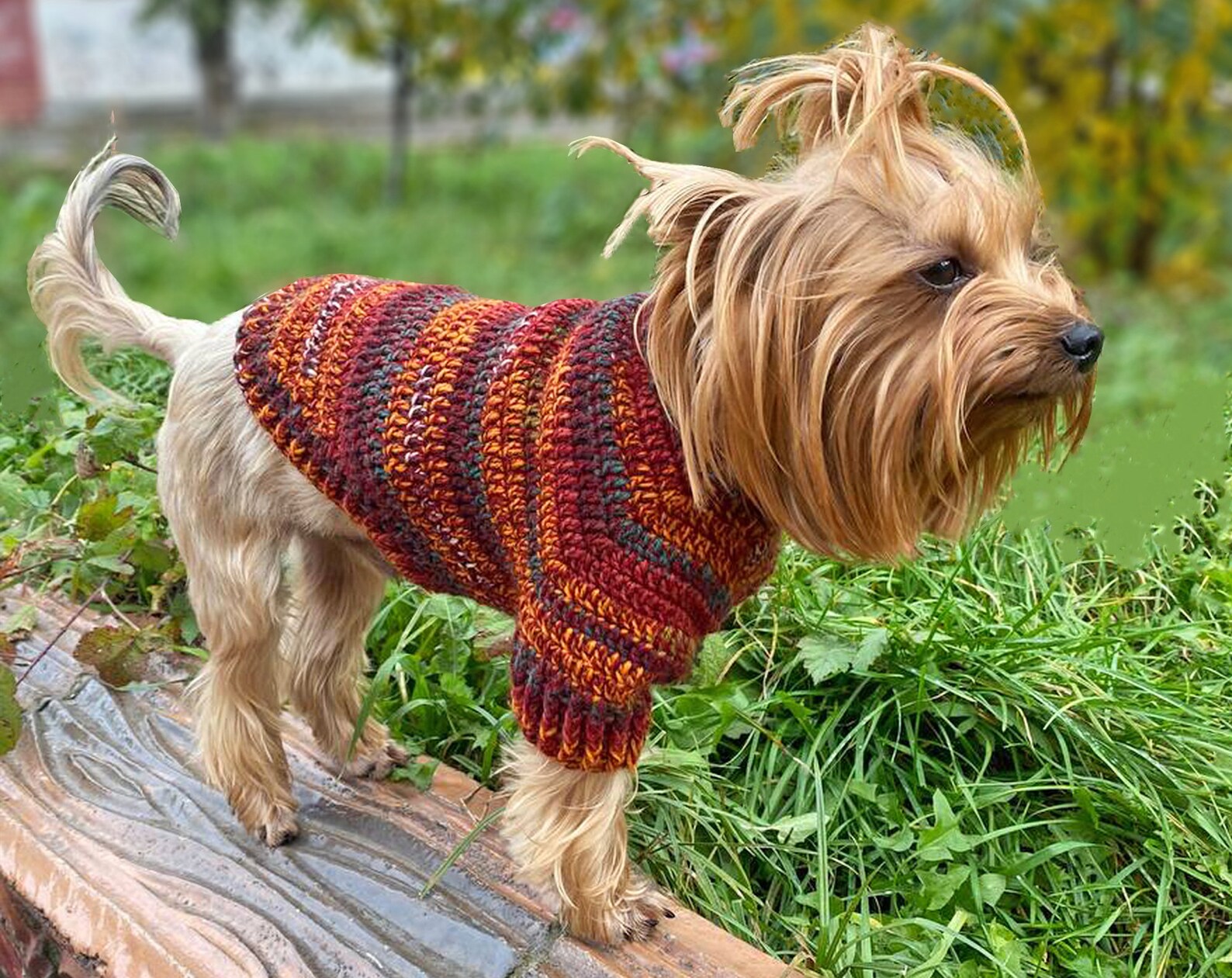 DOG SWEATER Pattern Crochet Sweater for Small Dogs PDF Dog Etsy