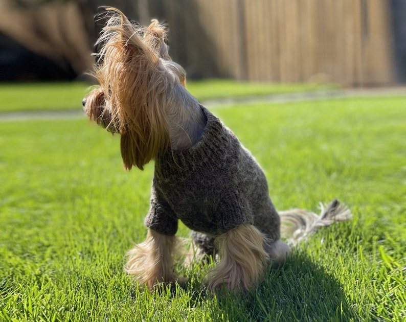 Knitting Pattern DOG SWEATER. Yorkie PDF Sweater Pattern. Knit Etsy