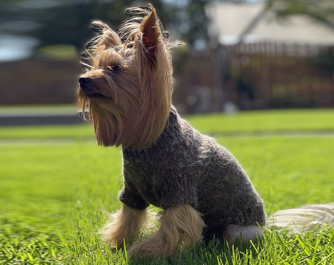 Knitting Pattern DOG SWEATER. Yorkie PDF Sweater Pattern. Knit Etsy