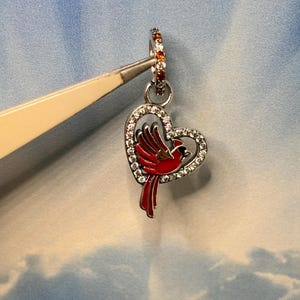 May include: A silver charm with a red cardinal bird inside a heart-shaped frame. The charm is decorated with clear and orange rhinestones.