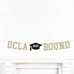 Graduation decorations 2026, Graduation banner 2026, Grad party decorations, personalized grad banner, custom college banner