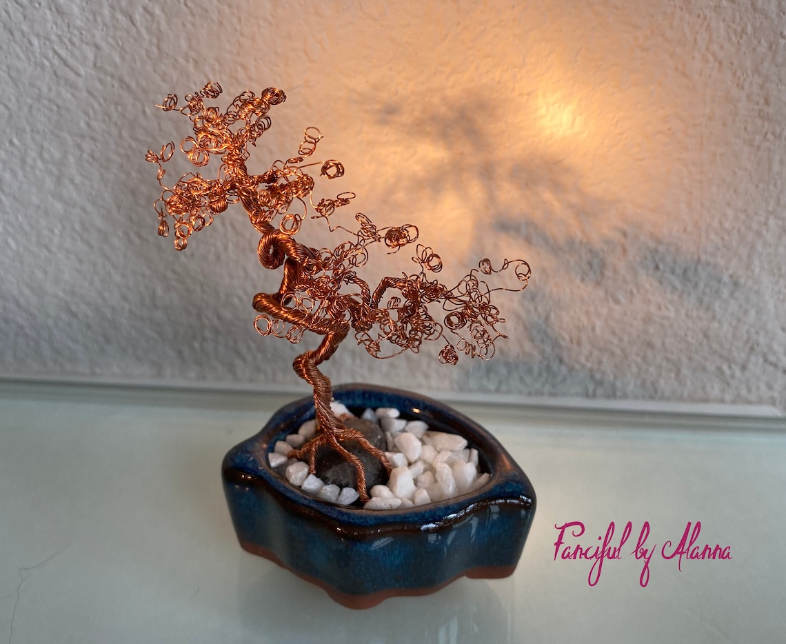 Filo Alluminio Rame Geotools 5,5 Mm Per Bonsai - 500 Gr, 8 M, Per Modellare Rami - Foto 14