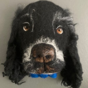 Puede incluir: Una cabeza de perro de fieltro negro y blanco con un collar azul. El perro tiene ojos marrones y un largo pelaje negro rizado.