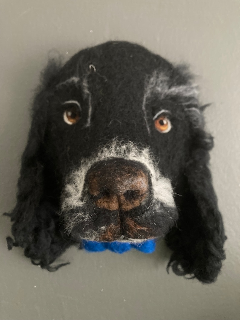 Puede incluir: Una cabeza de perro de fieltro negro y blanco con un collar azul. El perro tiene ojos marrones y un largo pelaje negro rizado.