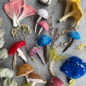 Puede incluir: Una colecci&oacute;n de setas de fieltro en varios colores y formas, incluyendo rojo, rosa, azul, amarillo y marr&oacute;n. Las setas est&aacute;n dispuestas sobre un fondo gris.