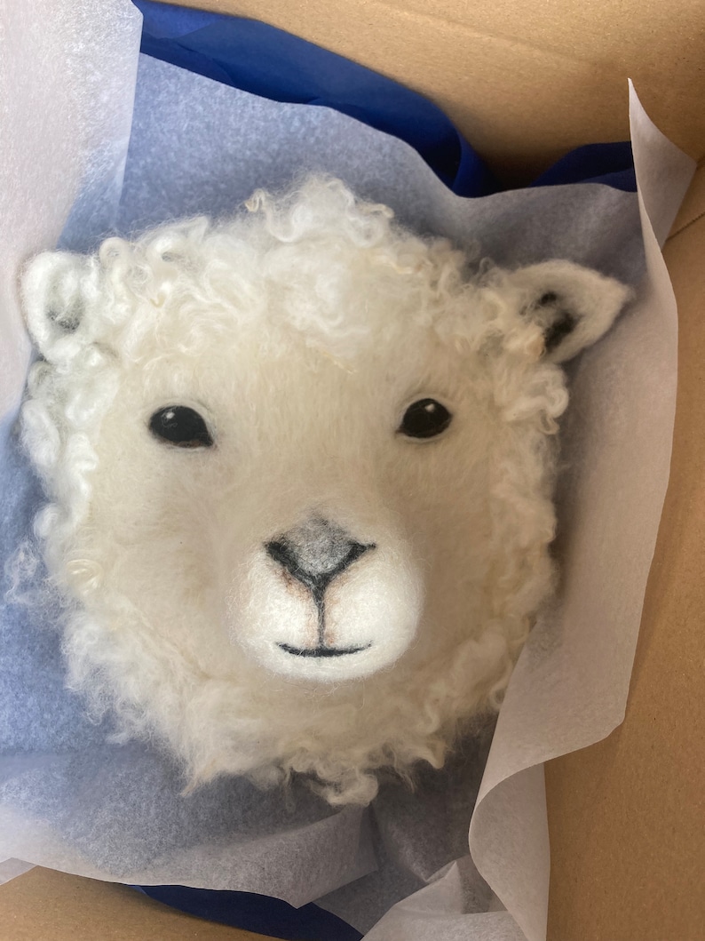 Puede incluir: Una cabeza de oveja de fieltro blanco con ojos negros y nariz marr&oacute;n. La cabeza de oveja est&aacute; sentada en una caja forrada con papel de seda blanco.