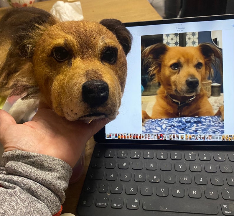 Puede incluir: Primer plano de un perro de peluche marr&oacute;n y beige con orejas ca&iacute;das. El perro est&aacute; siendo sostenido por la mano de una persona. La cabeza del perro est&aacute; inclinada hacia un lado y sus ojos est&aacute;n cerrados. El perro est&aacute; sentado en una mesa con un ordenador port&aacute;til en el fondo.