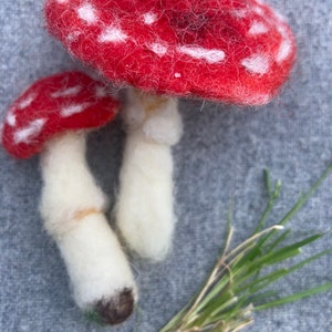 Puede incluir: Dos setas de fieltro con manchas blancas sobre sombreros rojos y tallos blancos. La seta m&aacute;s grande est&aacute; delante de la m&aacute;s peque&ntilde;a. Un manojo de hierba verde de fieltro est&aacute; en el fondo.