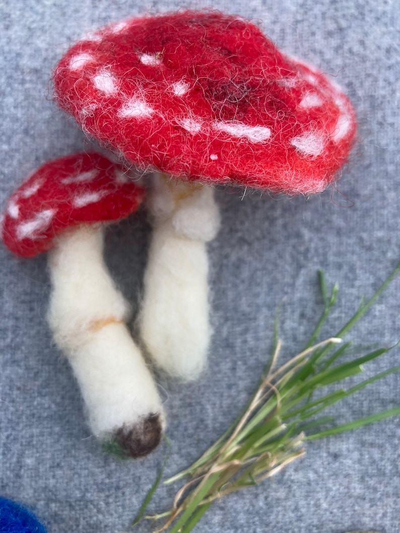 Puede incluir: Dos setas de fieltro con manchas blancas sobre sombreros rojos y tallos blancos. La seta m&aacute;s grande est&aacute; delante de la m&aacute;s peque&ntilde;a. Un manojo de hierba verde de fieltro est&aacute; en el fondo.