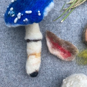 Puede incluir: Un hongo de fieltro azul y blanco con manchas blancas, un tallo blanco con bandas marrones y doradas y una punta negra. El hongo est&aacute; al lado de un hongo de fieltro marr&oacute;n con acentos rojos.