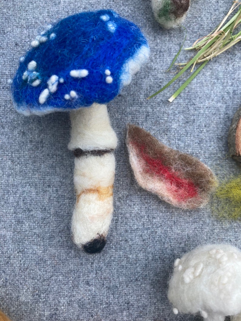 Puede incluir: Un hongo de fieltro azul y blanco con manchas blancas, un tallo blanco con bandas marrones y doradas y una punta negra. El hongo est&aacute; al lado de un hongo de fieltro marr&oacute;n con acentos rojos.