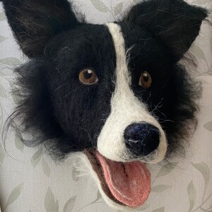Puede incluir: Una escultura de fieltro de la cabeza de un perro Border Collie, en blanco y negro, con la lengua rosa que sobresale. El perro tiene ojos marrones y la nariz negra.