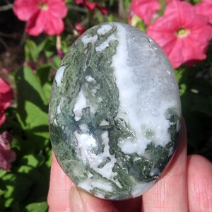 Polished Moss Agate Palm Stone: Natural Green Quartz