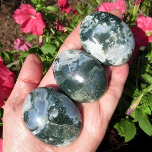 Natural Moss Agate Palm Stone: High Grade Polished Crystal