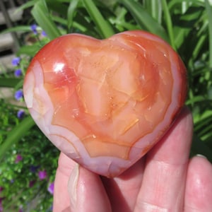 Carnelian Heart: Madagascar Agate Palm Stone