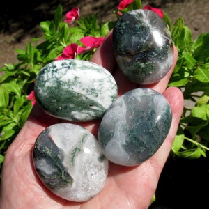 Natural Green Moss Agate Palm Stone: Choose Your Stone