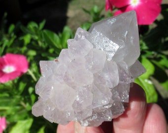 Spirit Quartz, Cactus Quartz, Natural Cluster from South Africa, Grade  A Specimen, Crown Chakra Stone