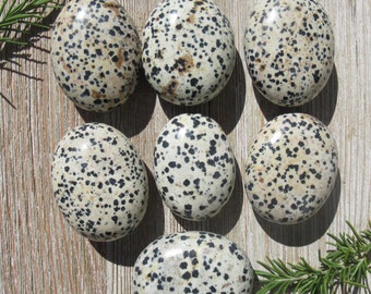 Dalmatian Stone, Choose One Palm Stone, Natural Dalmatian Stone from Mexico