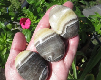 Zebra Calcite Palm Stone, Choose One Banded Yellow Calcite