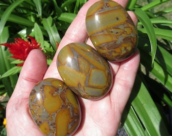 Natural Bamboo Leaf Jasper Palm Stone: Grounding Crystal
