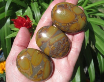 Bamboo Jasper - Choose One Palm Stone - Natural Bamboo Jasper