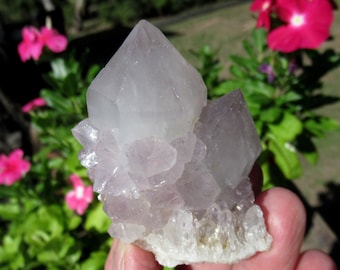 Spirit Quartz, Cactus Quartz, Natural Cluster from South Africa, Grade  A Specimen, Crown Chakra Stone