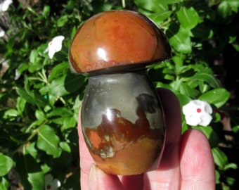 Polychrome Jasper Mushroom, Desert Japer Hand Carved Mushroom