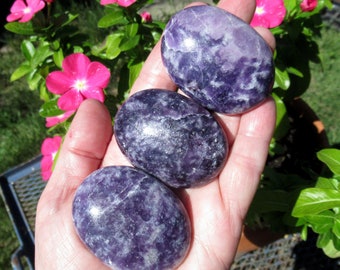 Lépidolite violette scintillante, choisissez une pierre de palmier lépidolite